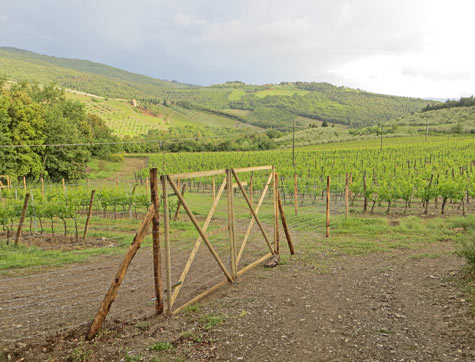 Chianti Valley in Tuscany Italy